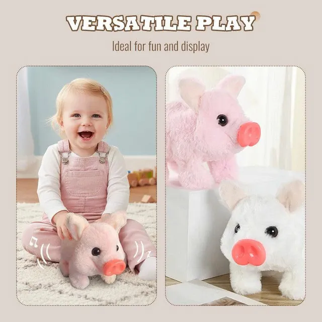 /690b755342c4b90009a124a5/2025/11/06/product-img-690cb12270bd325c841f555e.png